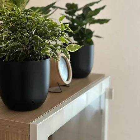 Elena Apartment