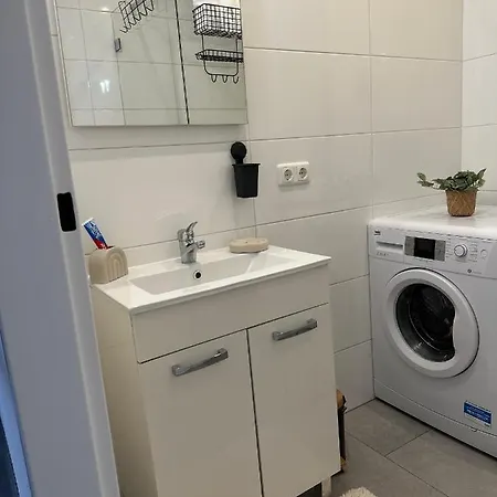 Elena Apartment Linz