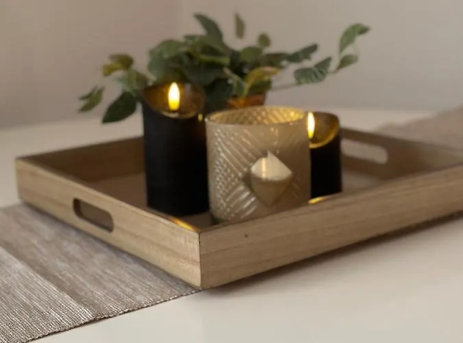 Apartment Elena Linz